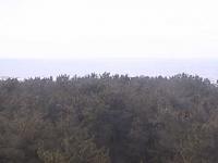2025-04-21 11:28