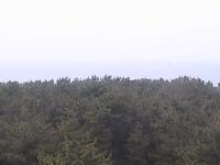 2025-07-04 08:51