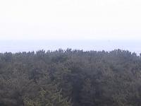 2025-07-07 05:51