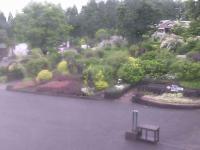 2025-06-12 10:17