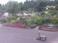 2025-07-09 12:16