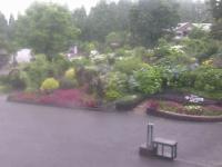 2025-07-10 15:52