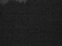 2025-07-12 02:22