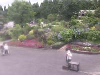 2025-07-13 12:52