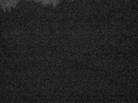 2025-08-22 05:01