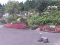 2025-09-16 11:46