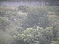 2025-07-08 18:38