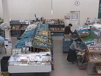 2025-10-20 07:33