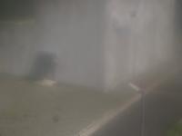 2025-08-30 13:36