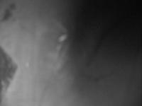 2025-07-11 06:48