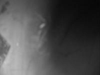 2025-08-02 16:59