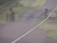 2025-06-11 05:41