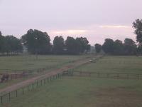 2025-08-31 06:44