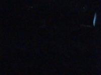 2025-07-03 02:35
