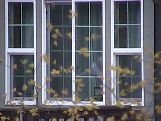 Actual image