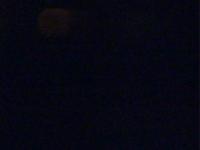 2025-06-19 20:55