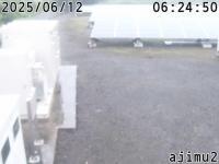 2025-06-12 06:24