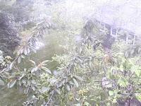 2025-07-10 13:26