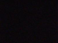2025-08-03 02:41