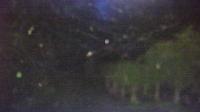 2025-06-12 03:37
