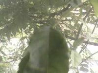 2025-06-11 15:06