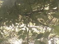 2025-06-13 10:58