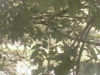 2025-07-03 13:27