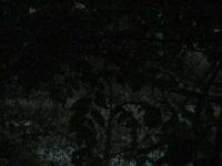 2025-07-03 19:43