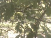 2025-07-04 14:31