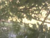 2025-07-08 08:10