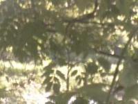 2025-07-08 15:03