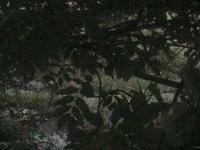 2025-07-09 04:58