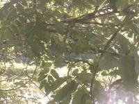 2025-07-10 15:28