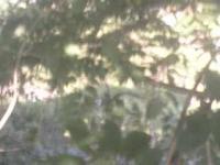 2025-08-23 08:13