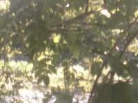 2025-08-23 15:07