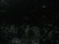 2025-08-28 05:30