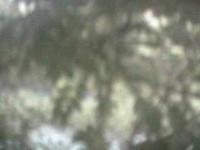 2025-08-30 05:48