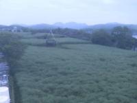2025-04-28 05:50