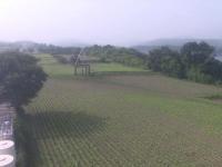 2025-07-10 08:36