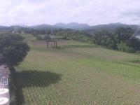 2025-07-12 08:54