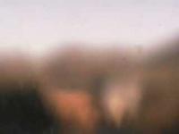 2025-04-30 17:44