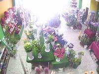 2025-04-26 11:54