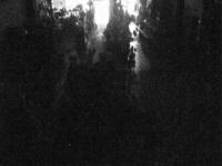 2025-08-22 20:56