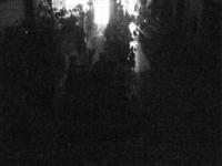 2025-08-23 03:50