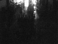 2025-08-24 21:13