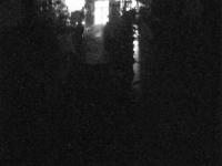 2025-10-18 04:50