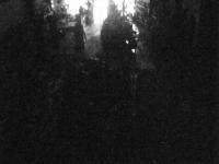 2026-04-21 06:42