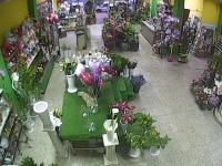 2026-04-21 20:02