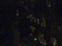 2025-04-02 05:05