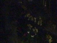 2025-04-04 02:56